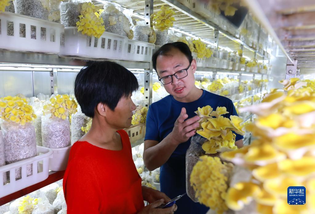 巴黎人手机网址大全